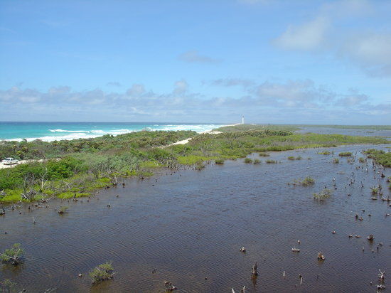 Parque Arqueológico